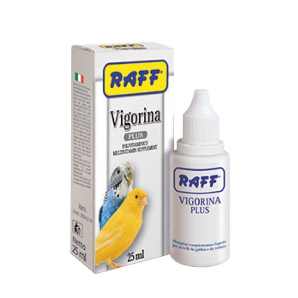 Raff-Vigorina-Plus-25ml