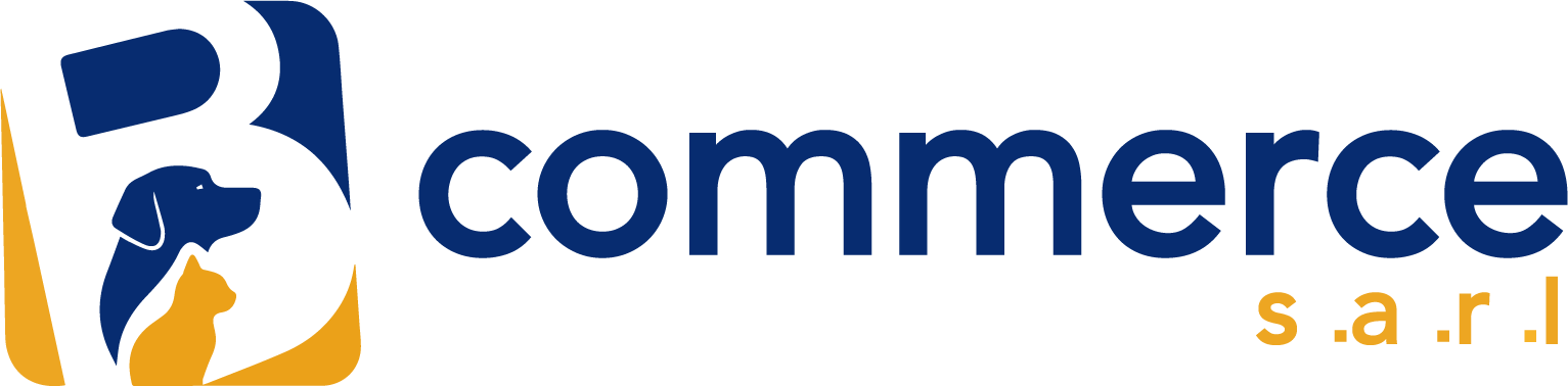 logo B commerce sarl