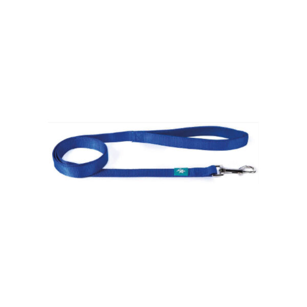 Laisse en nylon bleu M 120x2,0 cm