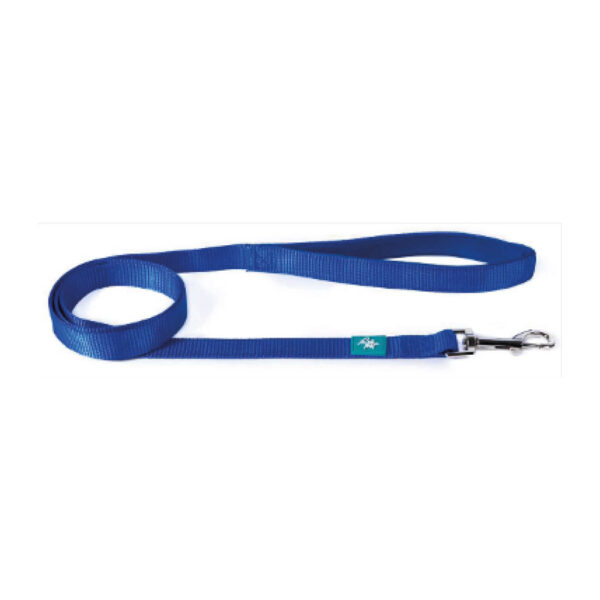 Laisse en nylon bleu L 120x2,5 cm