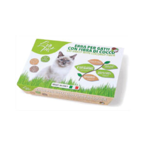 Herbe à chat avec fibre de coco